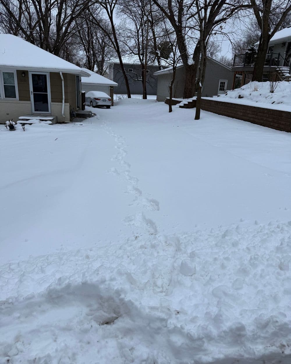 Project Clearing Snowy Pathways in Minneapolis image